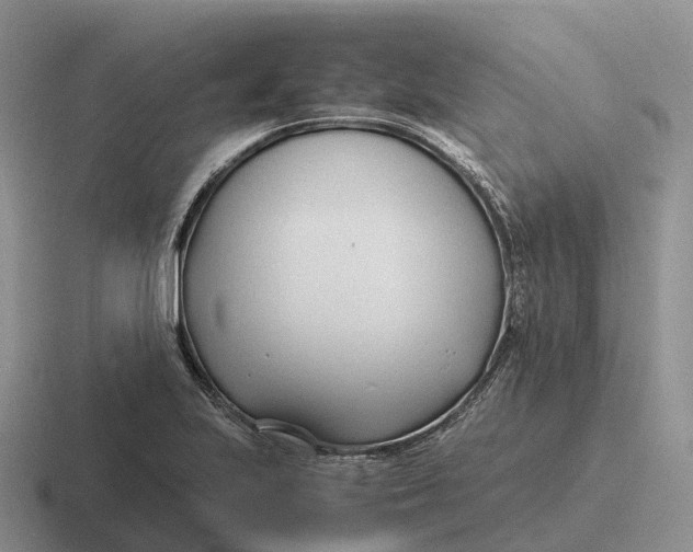 X0000116681223201001041142