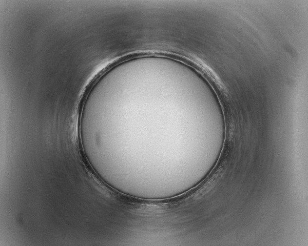 X0000116681224201001041142