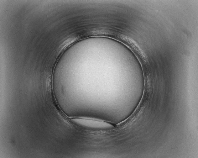 X0000116681225201001041142