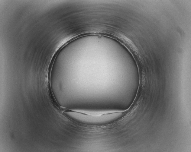 X0000116681226201001041142