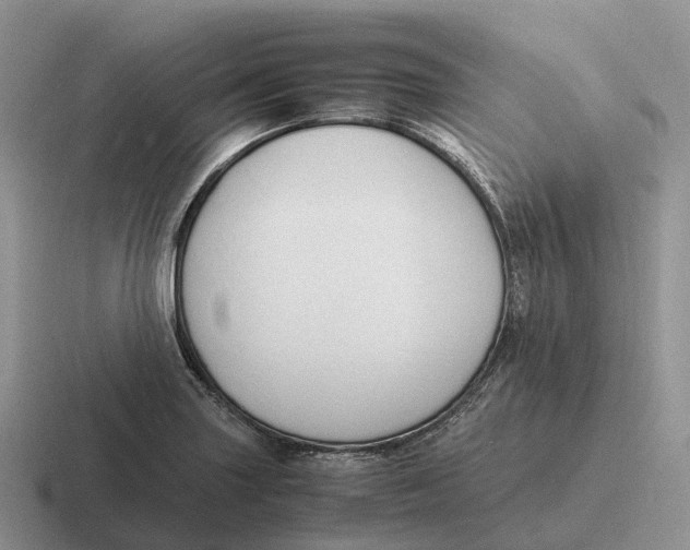 X0000116681227201001041142