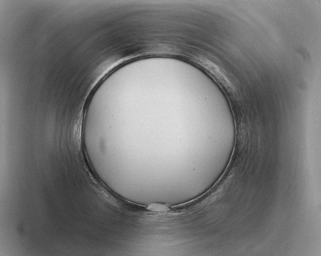 X0000116681228201001041142