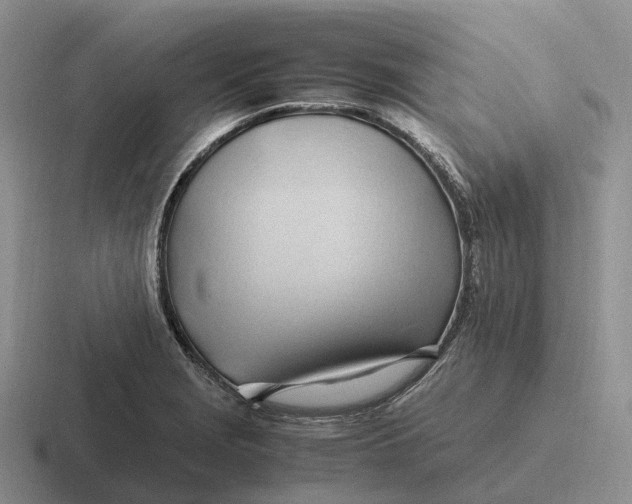 X0000116681229201001041142