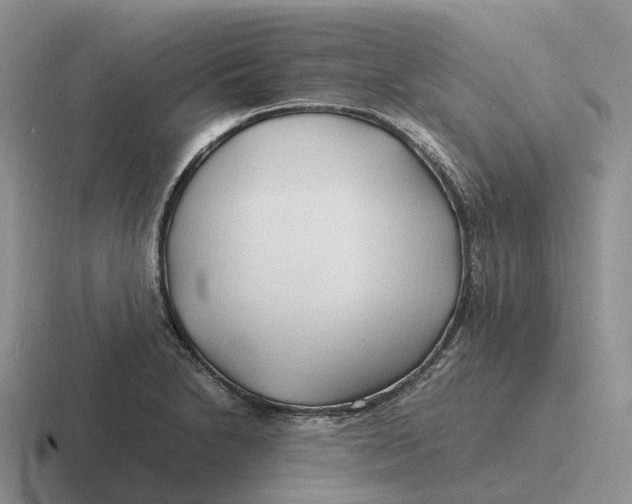 X0000116681230201001041142