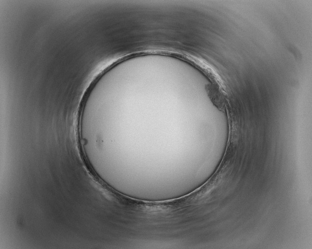 X0000116681231201001041142