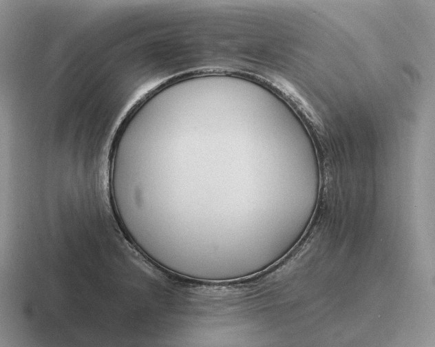 X0000116681232201001041142