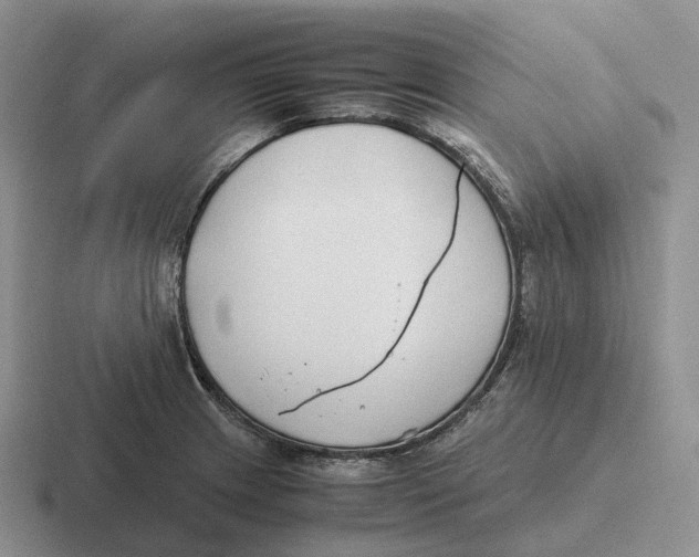 X0000116681233201001041142