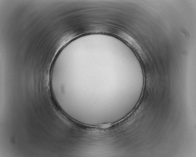 X0000116681234201001041142