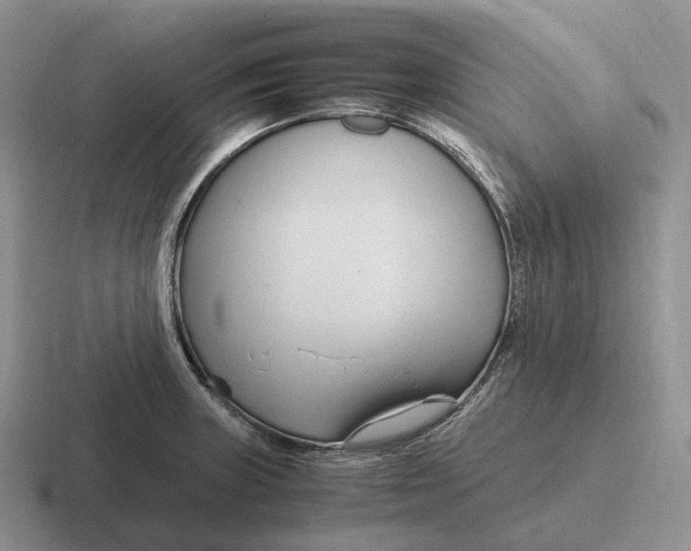 X0000116681235201001041142