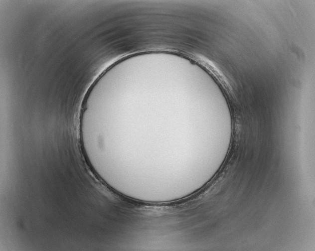 X0000116681236201001041142