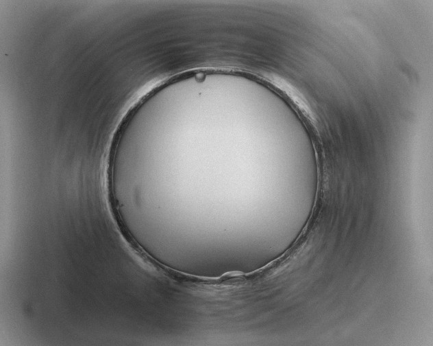 X0000116681237201001041142