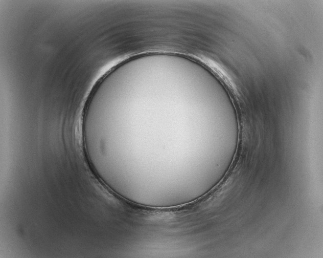 X0000116681238201001041142