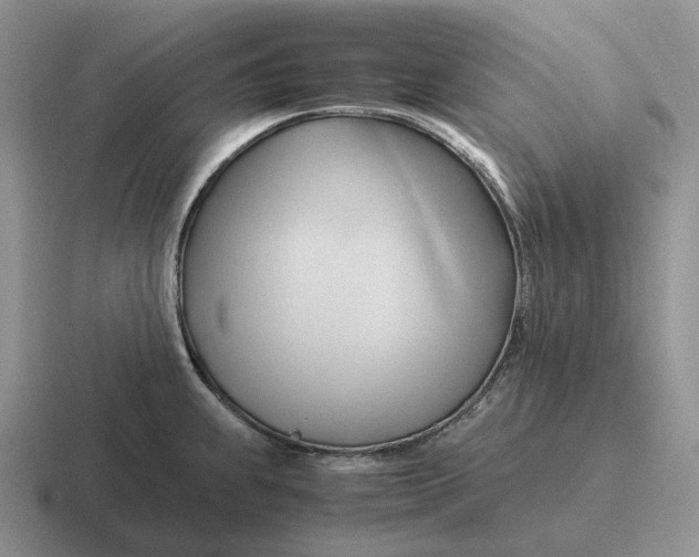 X0000116681239201001041142