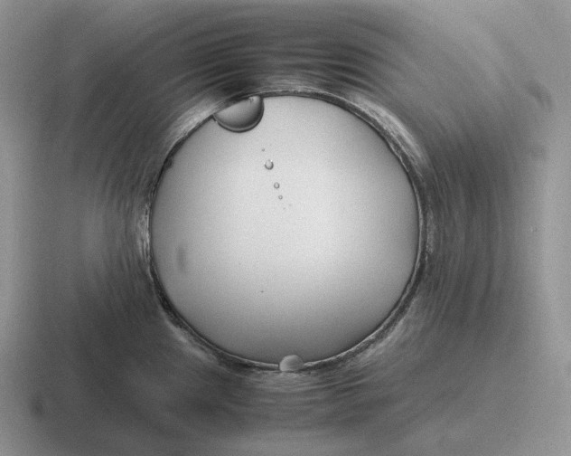 X0000116681241201001041142