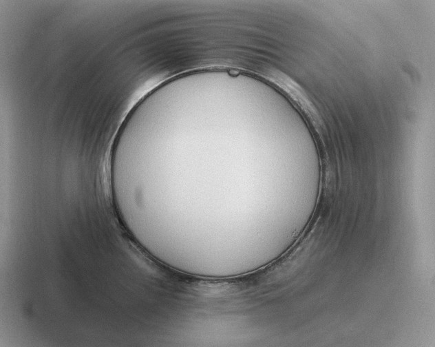 X0000116681242201001041142