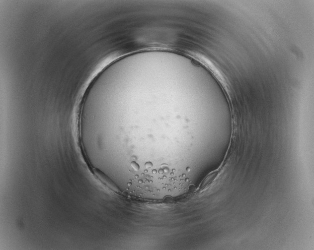 X0000116681243201001041142