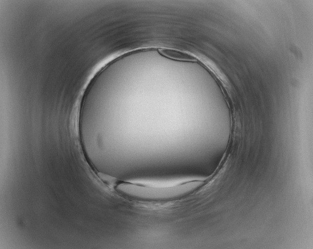 X0000116681246201001041142