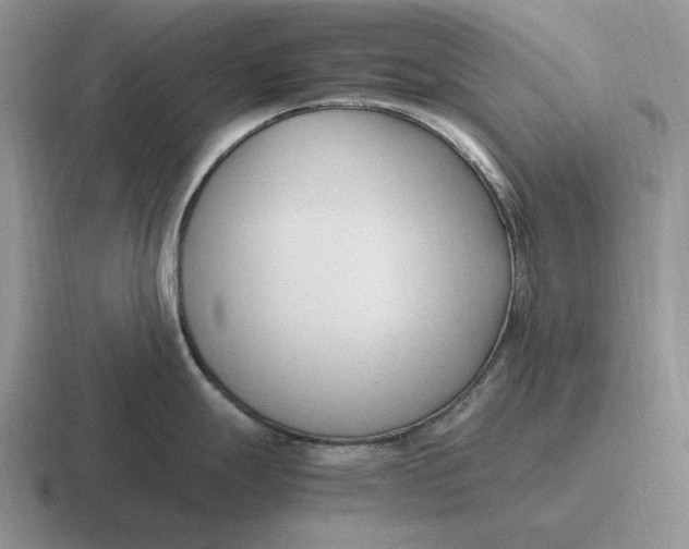 X0000116681247201001041142