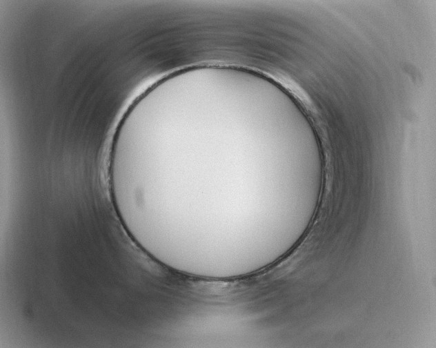 X0000116681248201001041142