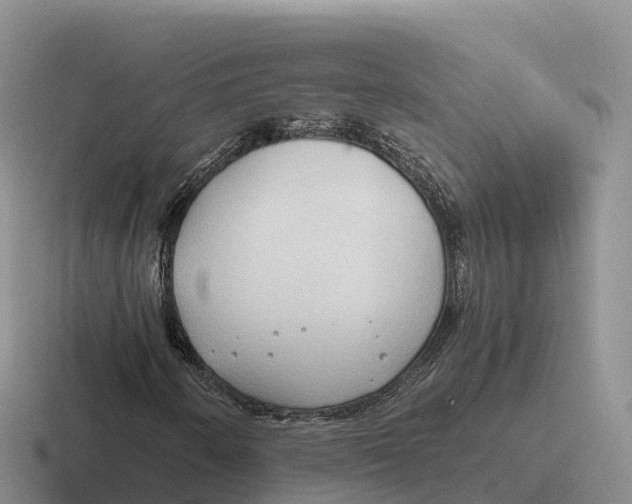 X0000116681250201001041142