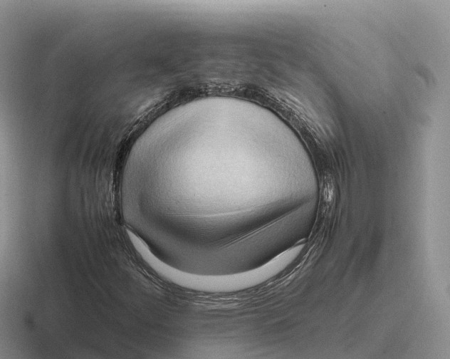 X0000116681252201001041142