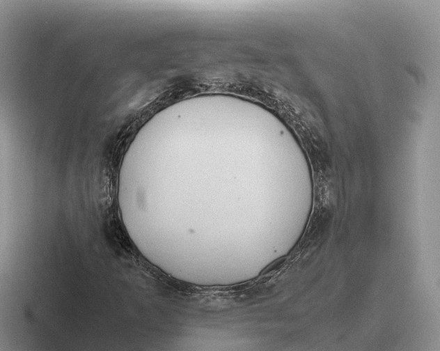 X0000116681253201001041142