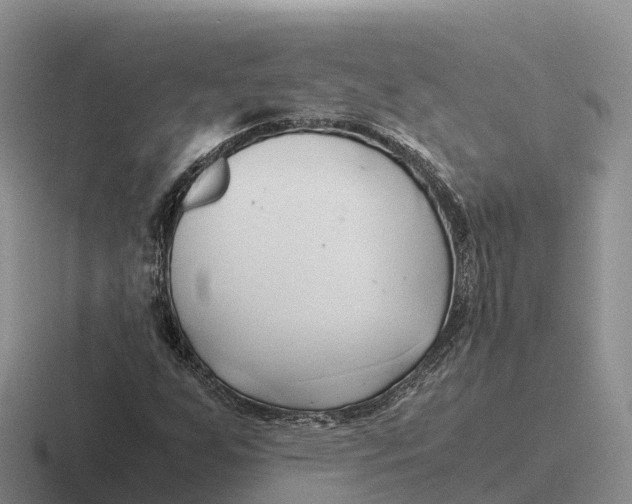 X0000116681255201001041142