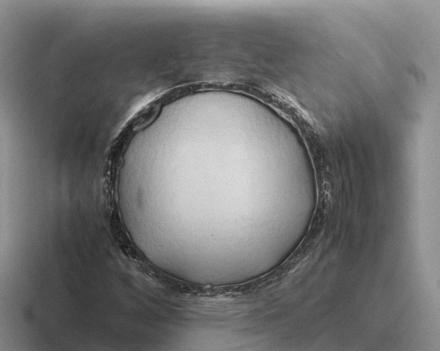 X0000116681256201001041142