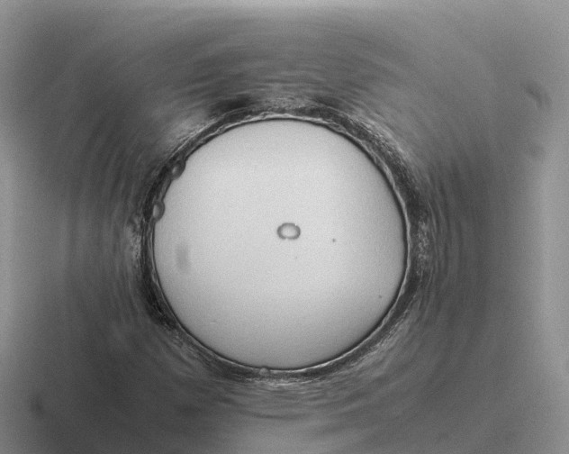 X0000116681257201001041142