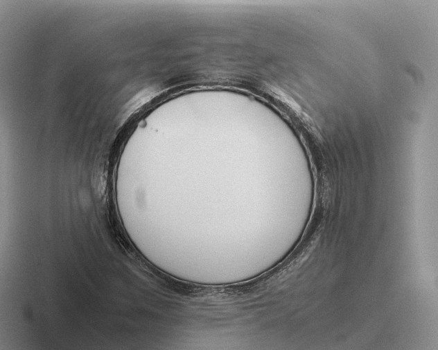 X0000116681259201001041142