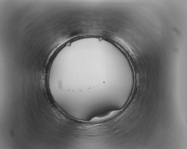 X0000116681260201001041142