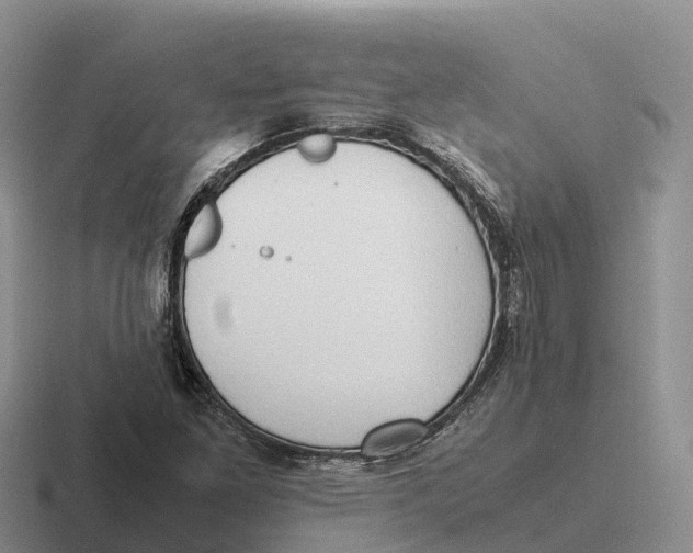 X0000116681261201001041142