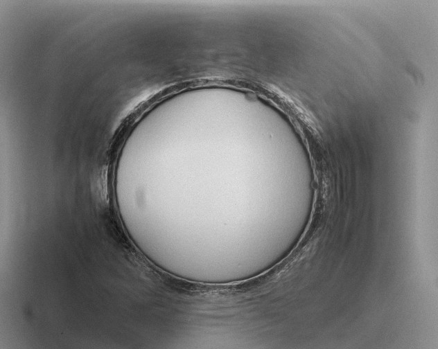 X0000116681262201001041142