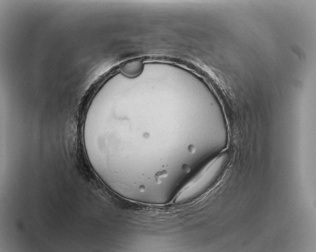 X0000116681263201001041142