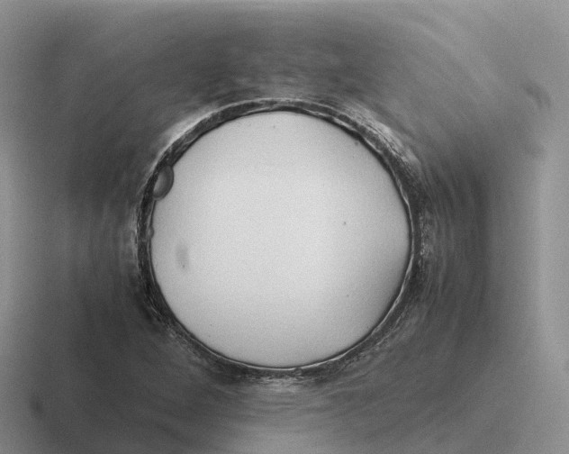 X0000116681264201001041142