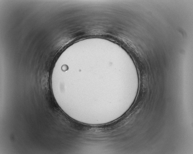 X0000116681265201001041142