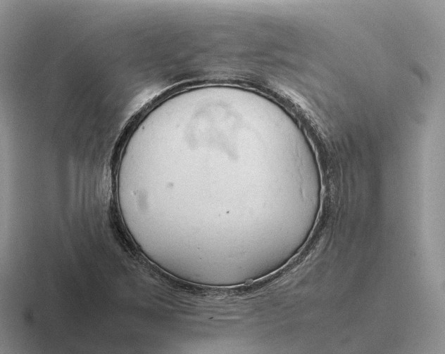 X0000116681267201001041142