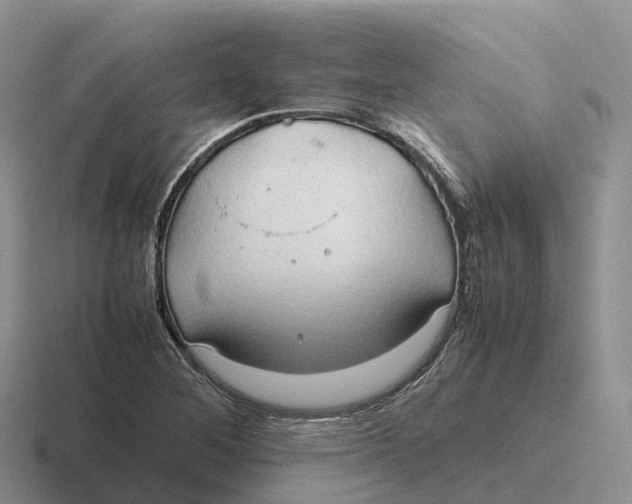 X0000116681268201001041142