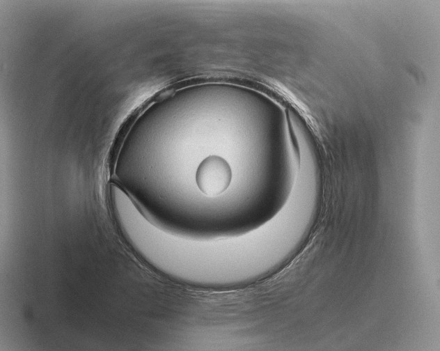 X0000116681269201001041142