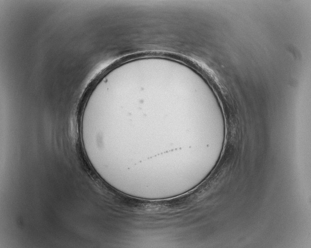 X0000116681271201001041142