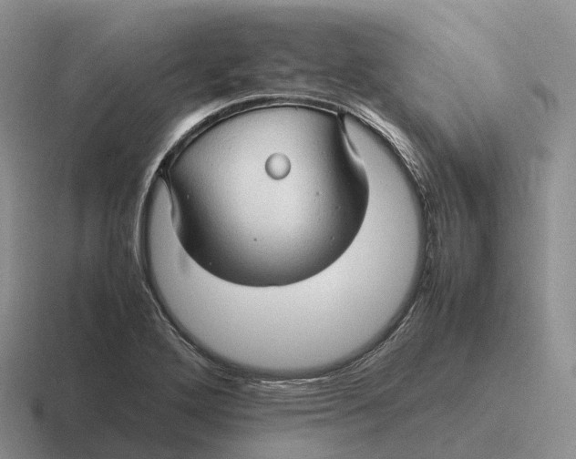 X0000116681272201001041142