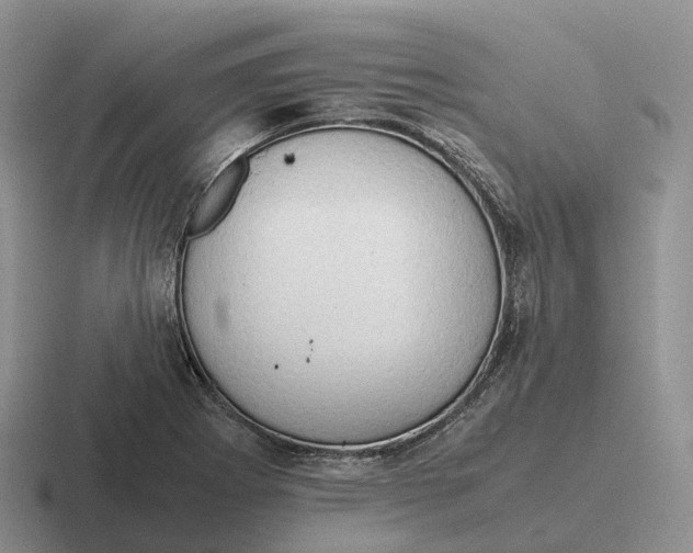 X0000116681273201001041142