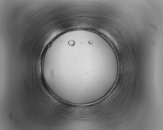 X0000116681274201001041142