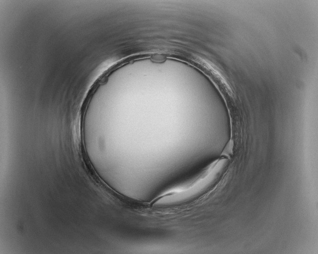 X0000116681275201001041142