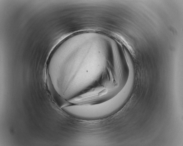 X0000116681276201001041142