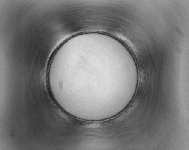 X0000116681278201001041142