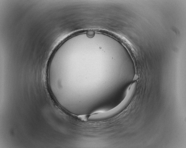 X0000116681279201001041142