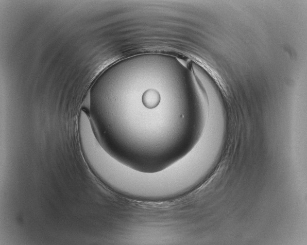 X0000116681281201001041141