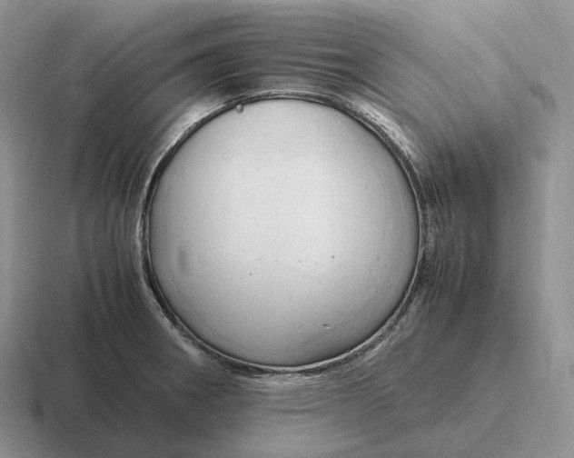 X0000116681282201001041141