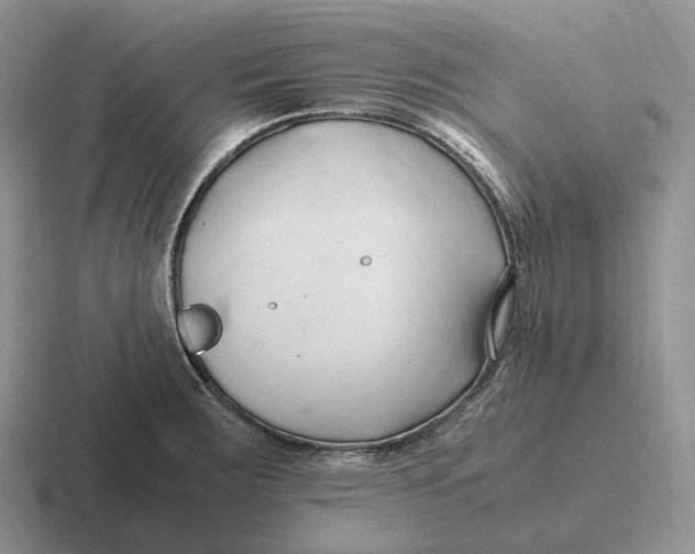 X0000116681283201001041141